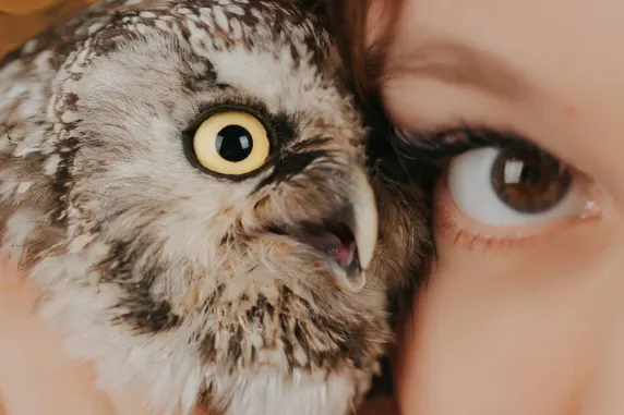 Palace of Chance Casino Support